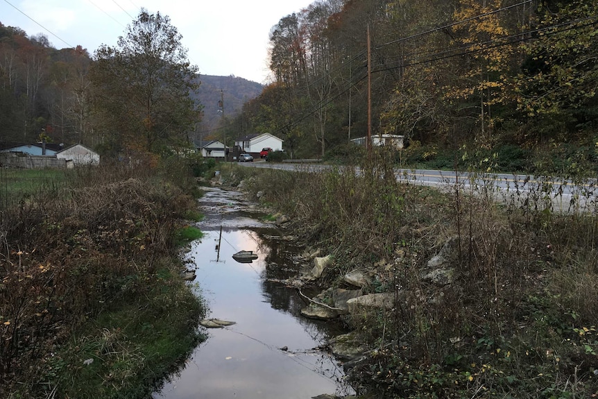 A stream surrounded by woodland in Logan County in West Virginia.