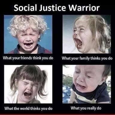 Social justice warrior meme.
