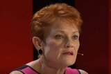 Pauline Hanson said she wasn't aware of the significance of the phrase.