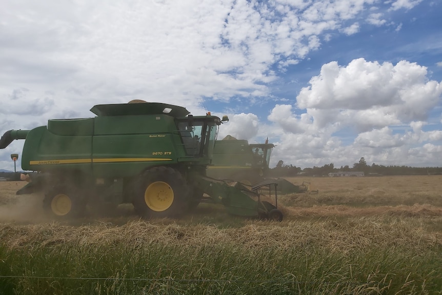 two grain harvesters working in a paddock