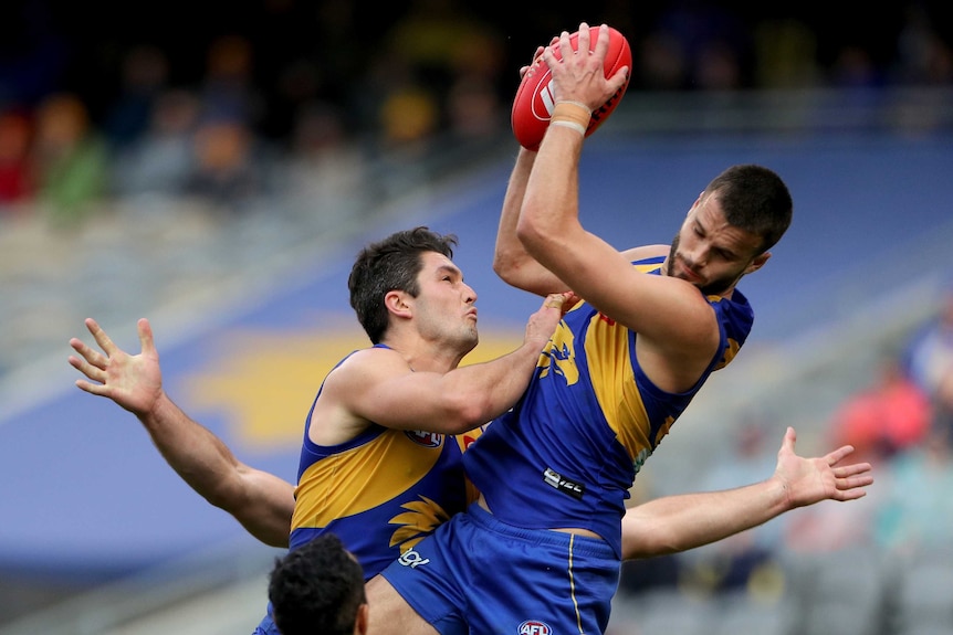 A West Coast Eagles AFL player marks the ball with two hands in the air as a teammate jumps up at the same time.