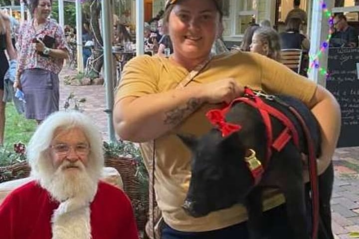 A young woman wearing a cap holds a black pig on a harness with a red bow tie next to a Santa Claus outside an outdoor cafe.