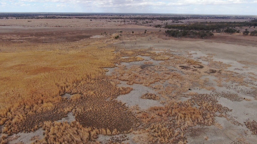 An aerial shot of a brown expanse.