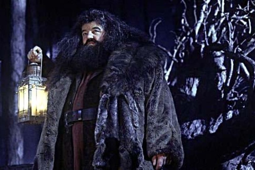 罗比·科尔特兰在《哈利·波特与魔法石》的场景中扮演海格