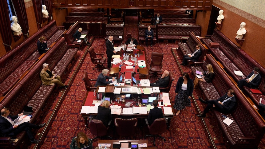 nsw-s-voluntary-assisted-dying-laws-delayed-mps-fail-to-vote-after-marathon-sitting