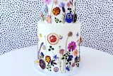 Two tier white frosted cake against a speckled background and decorated with colourful fresh pressed flowers and dried citrus