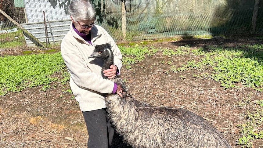 A woman hugging an emu