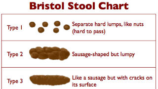 Bristol stool chart