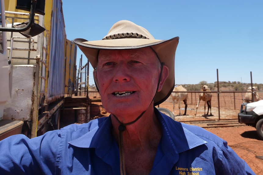 A man with his camels in a remote location