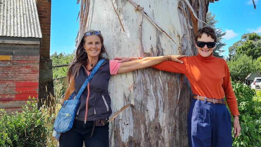 Two women holding each other's arms in front of a large tree 