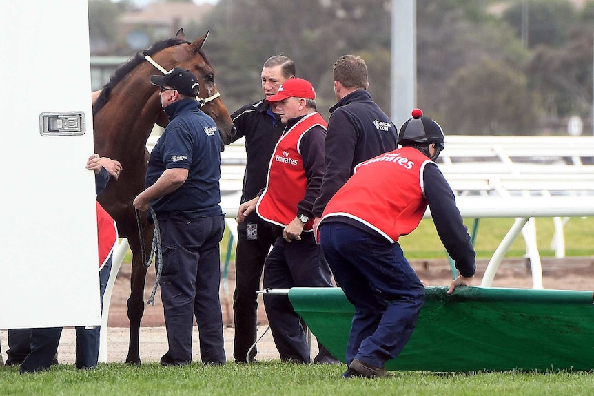 Regal Monarch on the track after a fall in Race 4 on Melbourne Cup Day.