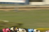 The special commission of inquiry into greyhound racing has resumed in NSW.