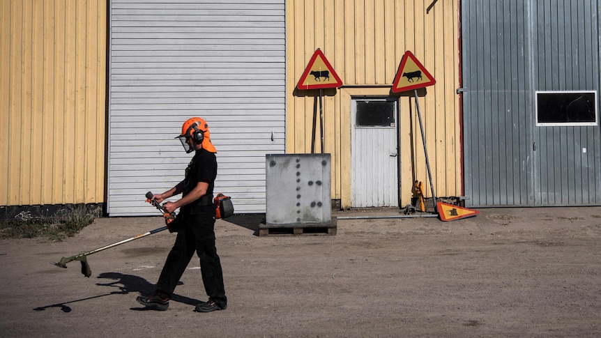 A man with a whipper snipper walks past a barn.