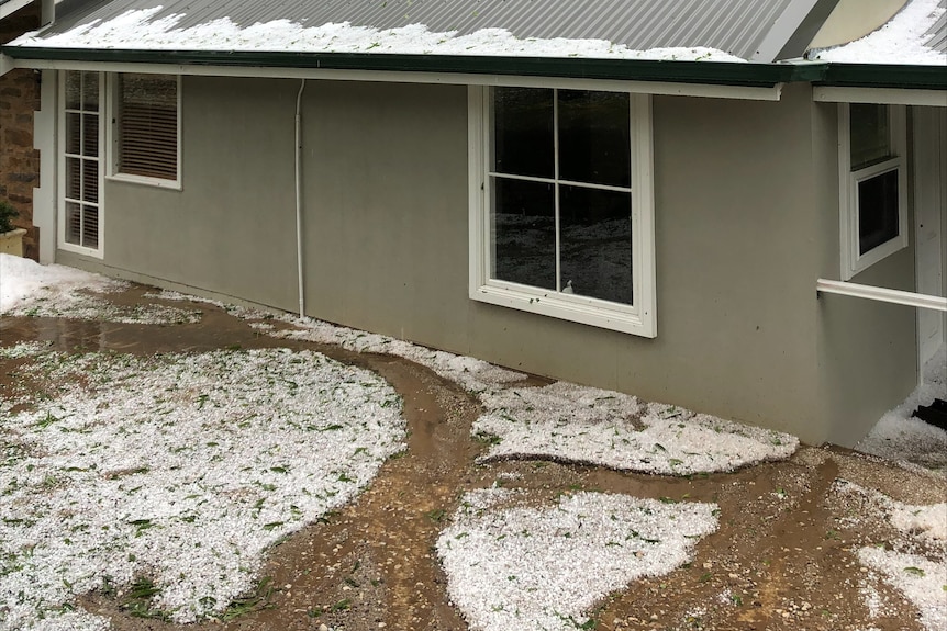 A sheet of hail lies outside the front of a house and on top of the roof. 