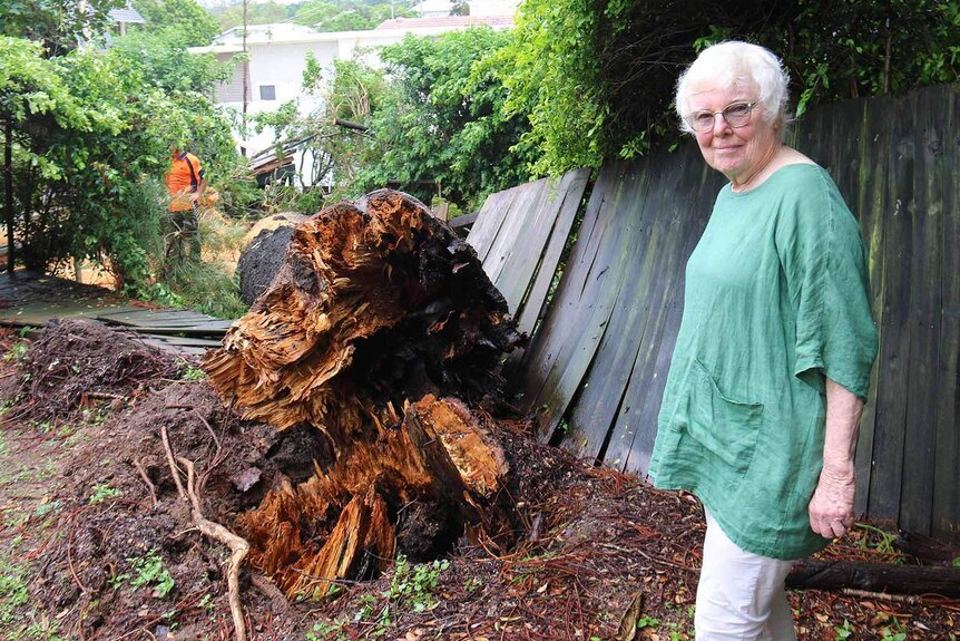 A woman standing beside a fallen tree in her backyard