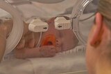 Baby in a neonatal cot
