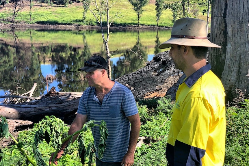 Two men working on field and surveying invasive species