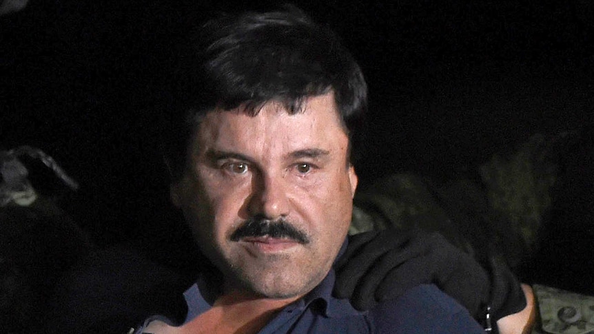 Mexican drug baron Joaquin 'El Chapo' Guzman