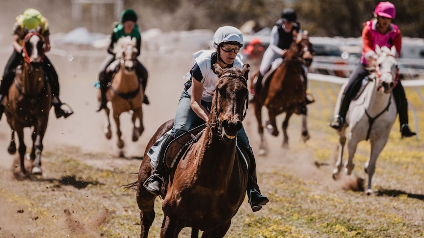 Five horses racing on a bush race track