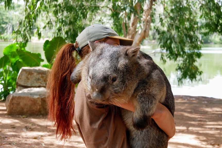 Girl with red hair holding large wombat at a wildlife sanctuary.