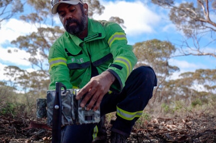 A man in work gear kneels down as he inspects a camera in bushland.