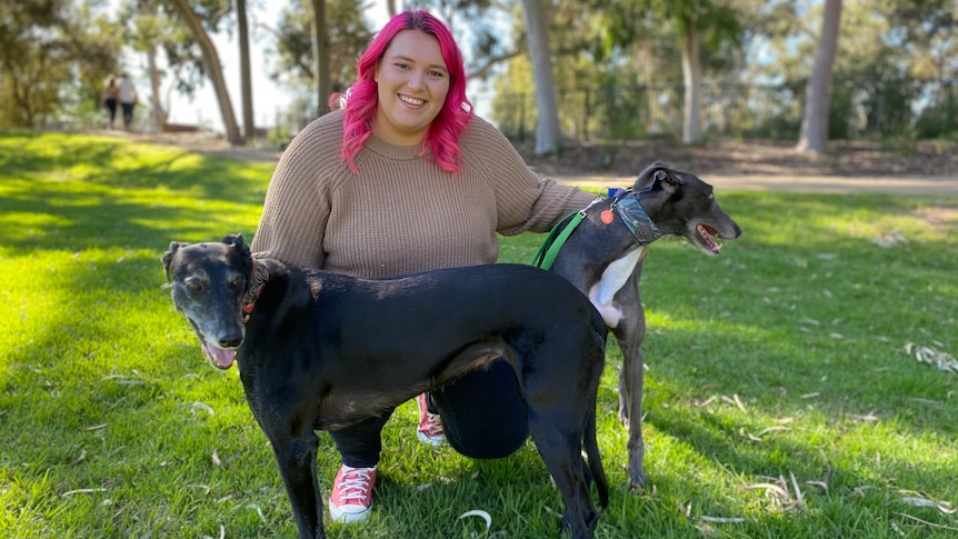 A woman with pink hair kneeling down with two greyhounds.