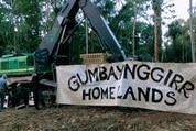 A state forest with a banner across trees saying Gumbaynggirr Conservation Group.