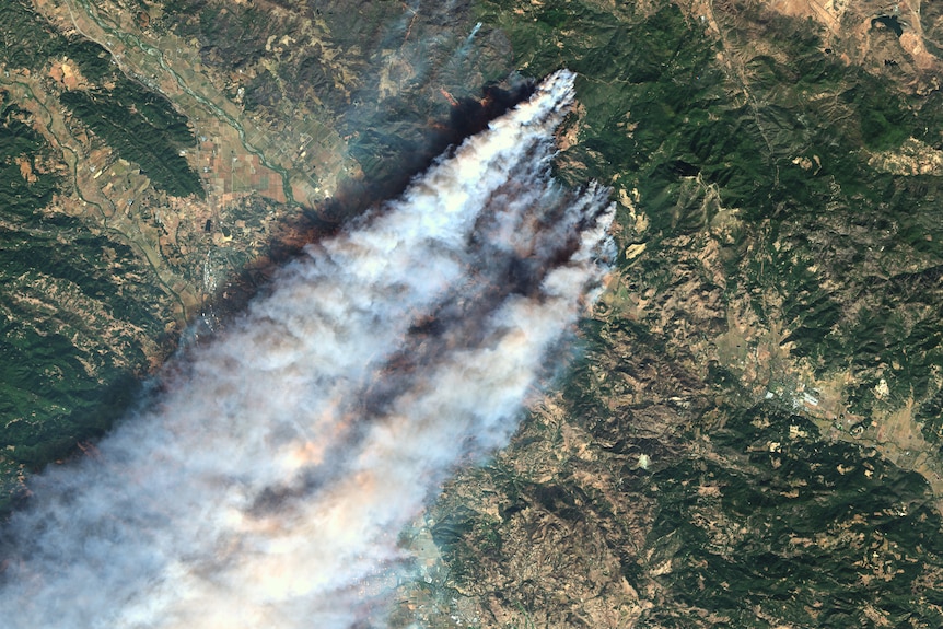Colour satellite images of bushfires