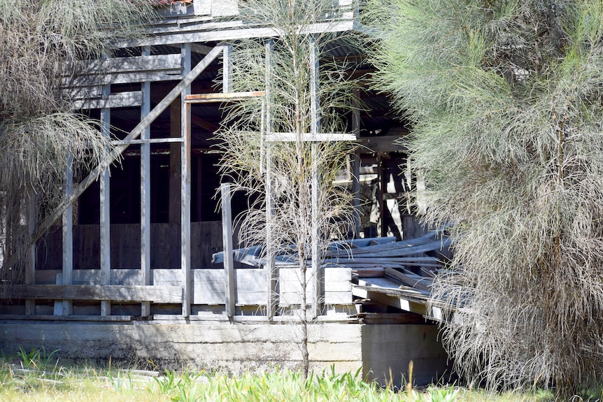 Side of shed, showing concrete base and cladding. Cladding is falling off.