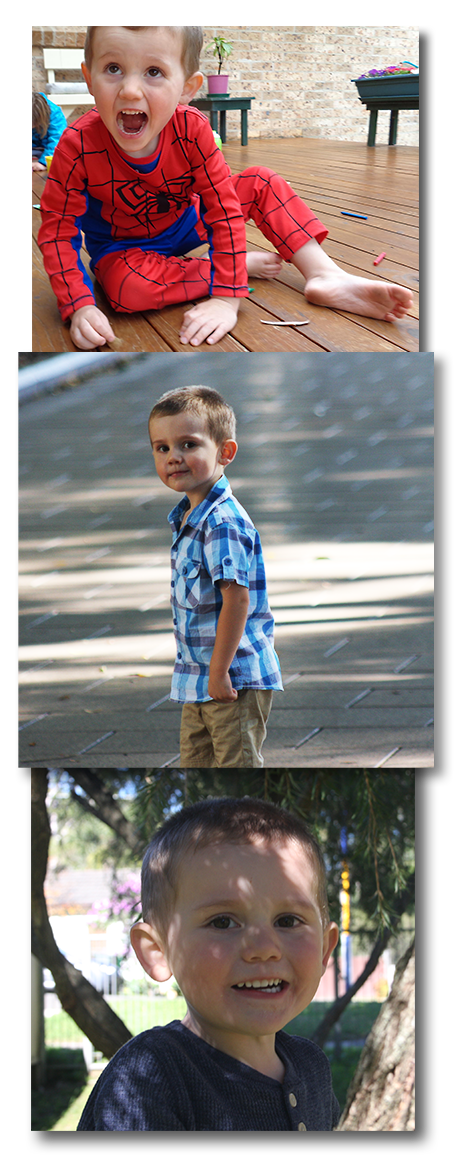 collage of three year old William Tyrrell