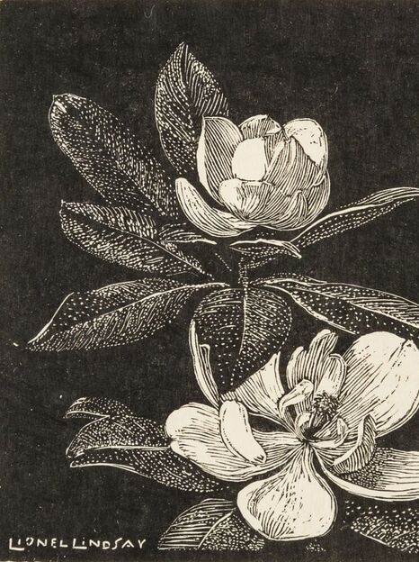 Woodcut print of magnolias