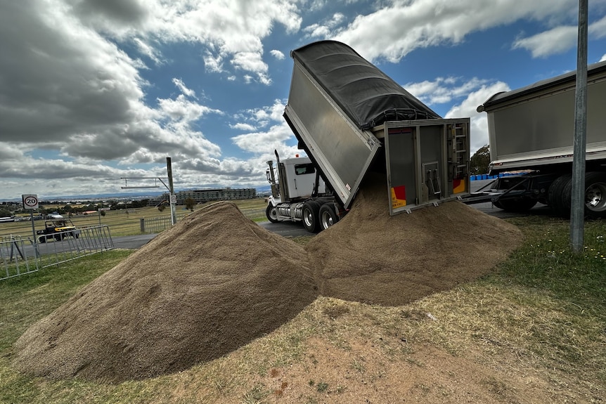 Sand being dumped at the World Athletics Cross Country Championships course in Bathurst.