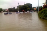 Cars are submerged and the park at the end of Fisher Street, East Brisbane, is flooded.