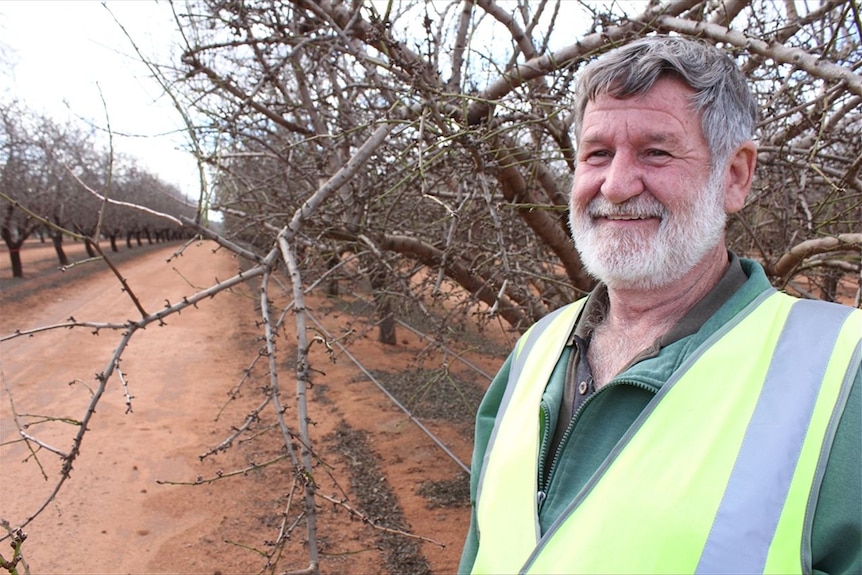 Trevor Monson - Bee broker and Almond pollination coordinator