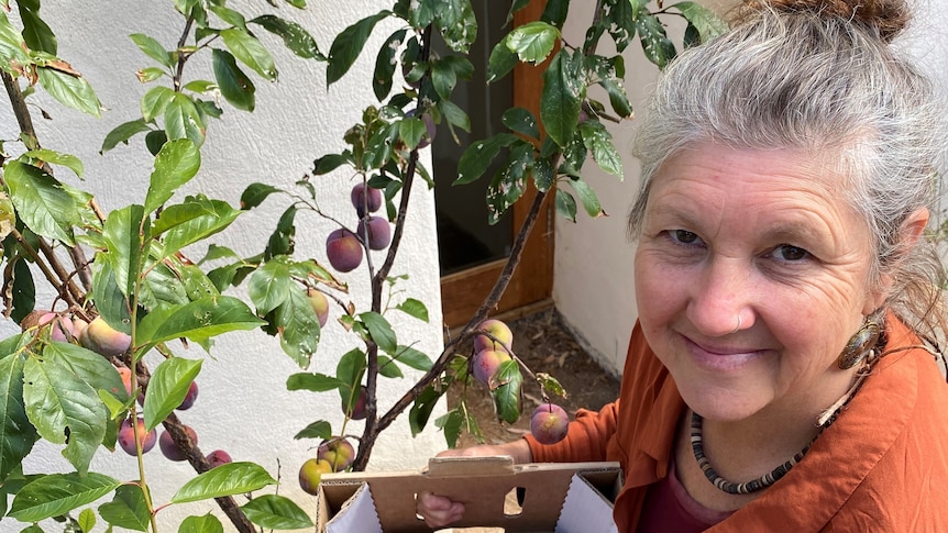 A photo of a woman holding plums 