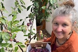 A photo of a woman holding plums 