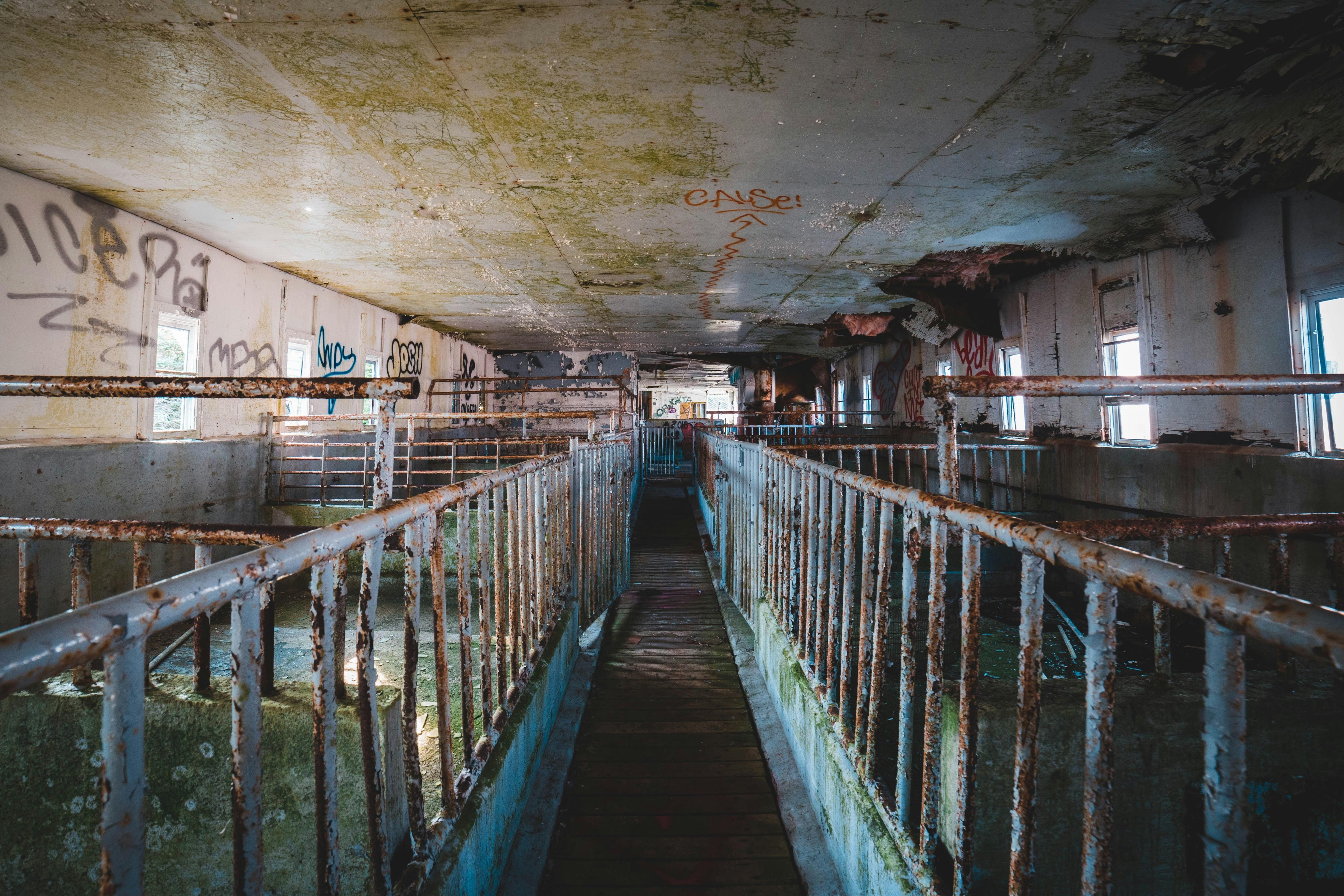 View of the inside of an abattoir