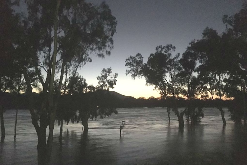 Fitzroy river in Rockhampton sitting at 6.4 metres