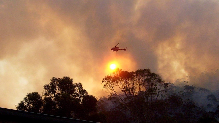 A water-bombing helicopter flies through smoke from a bushfire in Bicheno.