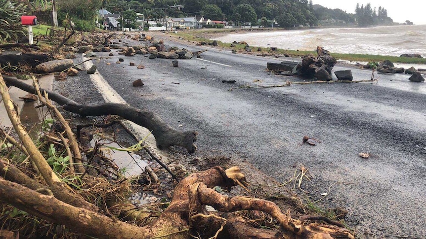 Debris strewn across the Thames Coast road near Te Puru, New Zealand. Large tree branches and rocks cover the road.