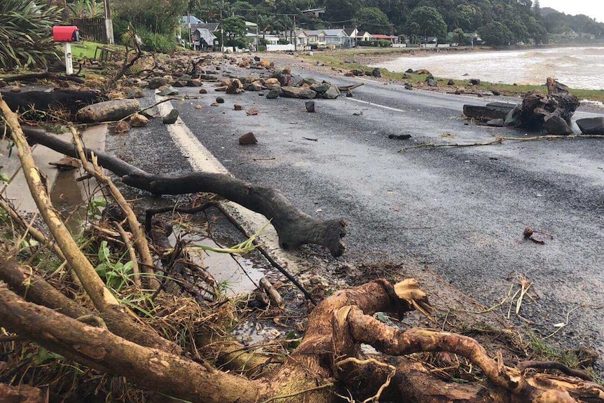 Debris strewn across the Thames Coast road near Te Puru, New Zealand. Large tree branches and rocks cover the road.