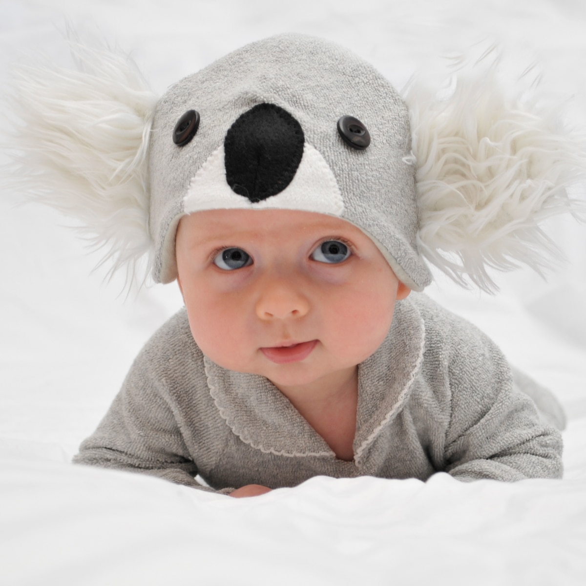 baby koala costume