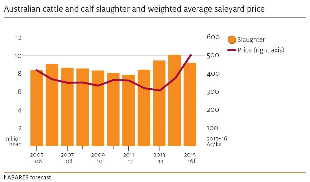 table displaying past cattle exports and predictions of future export volume and value