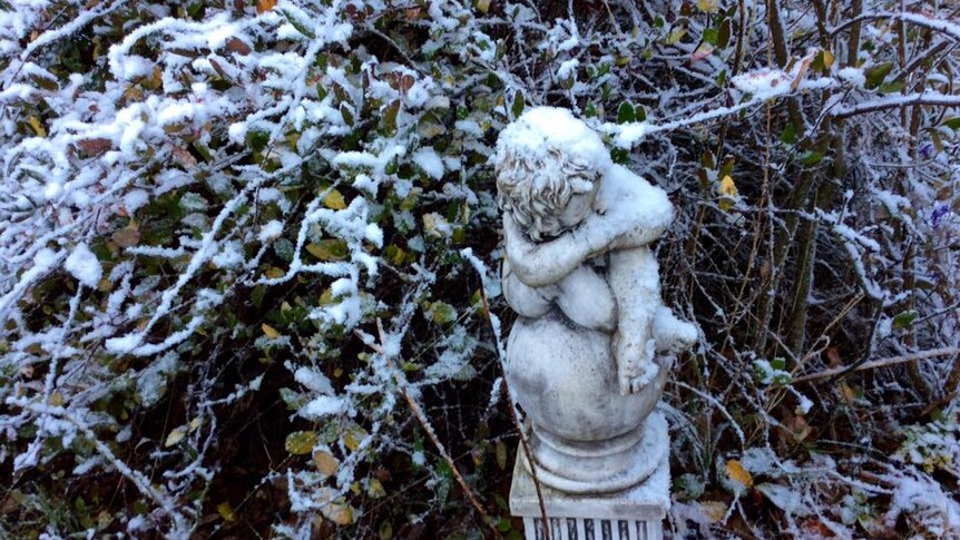 A snow-covered statue in Craigie.