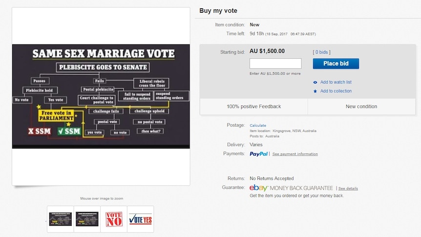 A screenshot of an eBay auction for a vote in the same sex marriage survey.