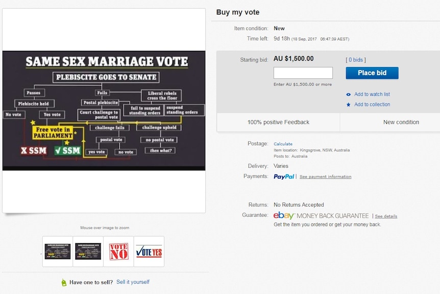 A screenshot of an eBay auction for a vote in the same sex marriage survey.