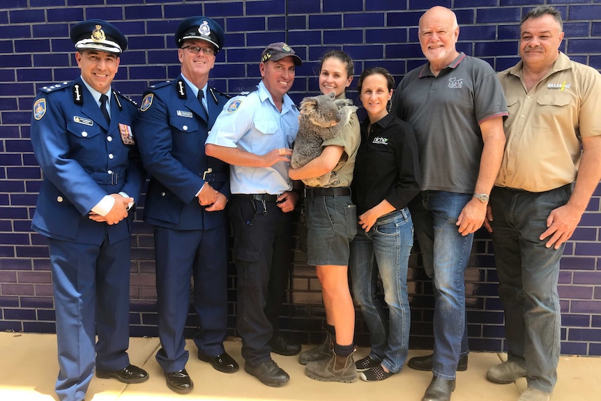 Stakeholders in the koala fodder and feed program stand alongside with a koala being held  in the centre.