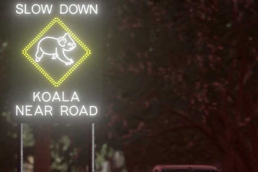 a large sign saying 'koala near road'