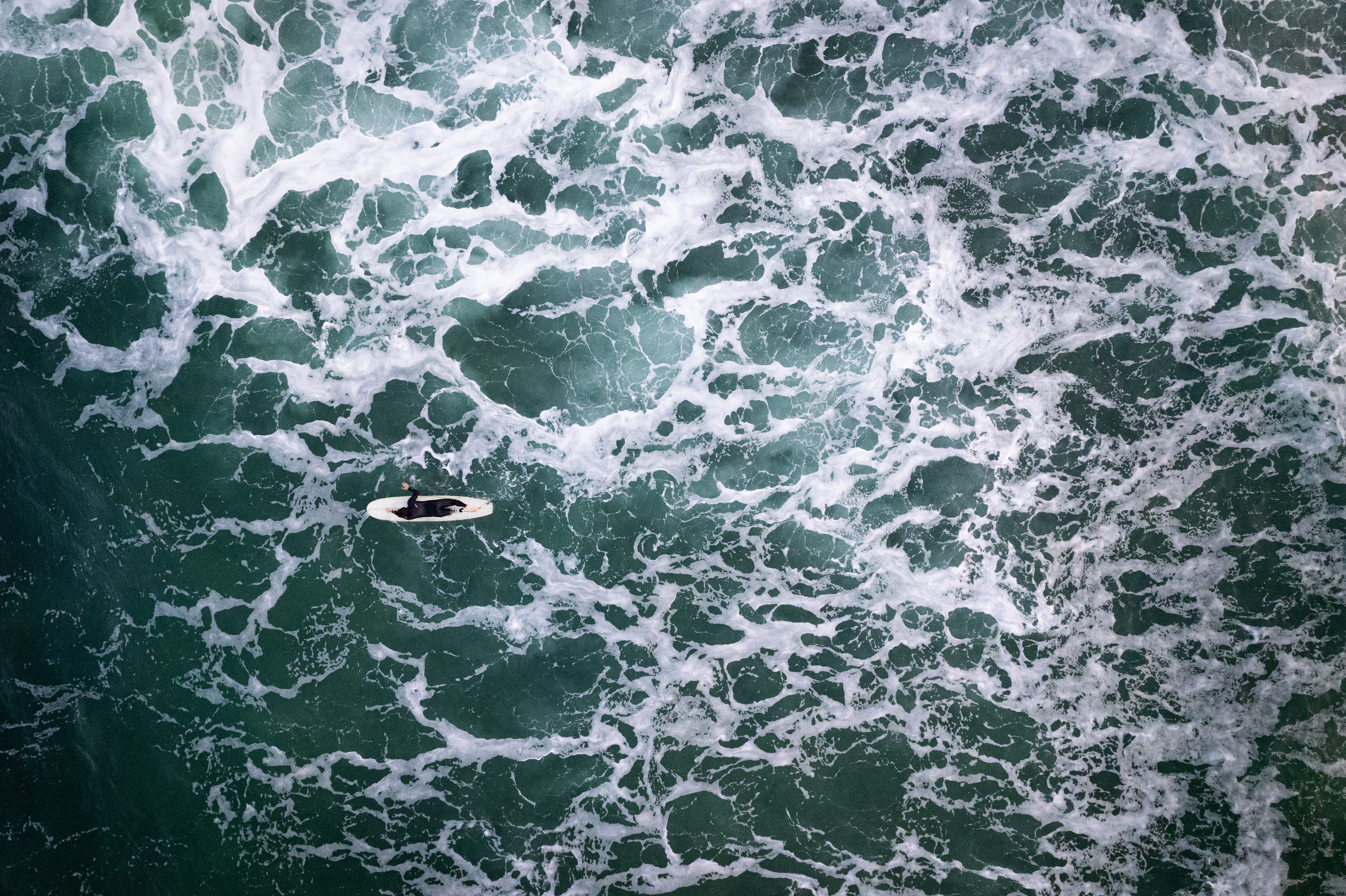 SA Police search for body of man attacked by shark off South Australia