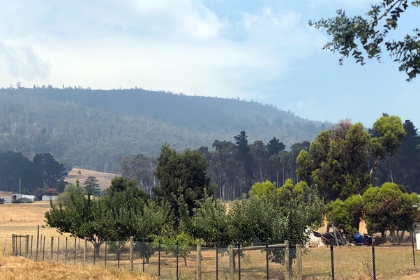 View from Dunlevie house Glen Huon